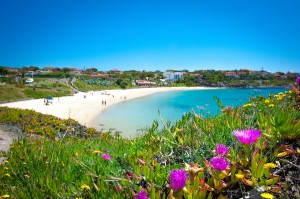 portoscuso, spiaggia di porto paglietto, fiori di calsera mare vacanze sardegna bed and breakfast sa cruxitta